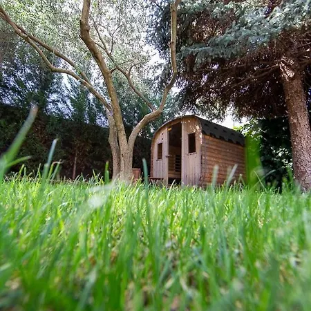 Luxury Experience In Center Of With Heated Pool And Jacuzzi Villa *